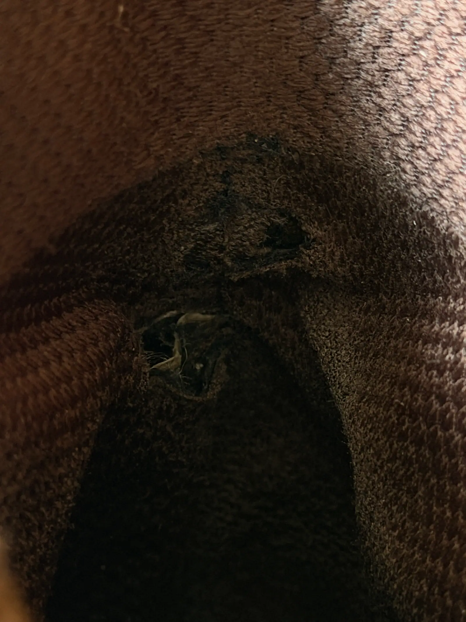 Converse — All Star Brown Suede Boot